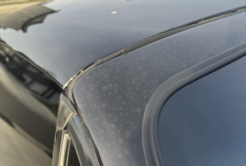 spots-on-new-wrap-v0-26t73ahgrocc1